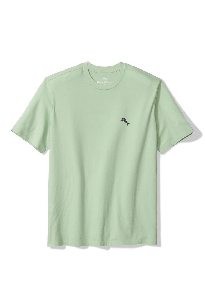 For your Finformation Cotton Graphic T-Shirt, Main, color, SILKY GREEN