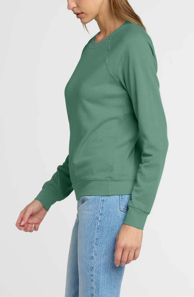 The Standard Stitch The Organic Cotton Raglan Sweatshirt, Alternate, color, Aloe