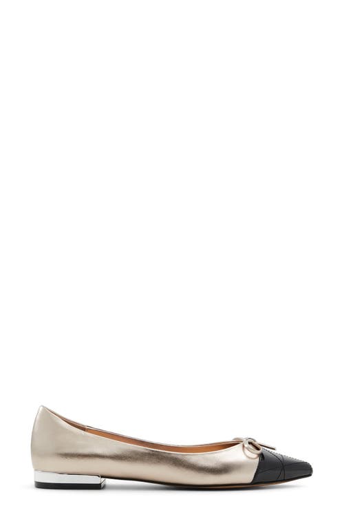Aldo Women's Maddelyn Pointed-toe Ballerina Flats In Silver