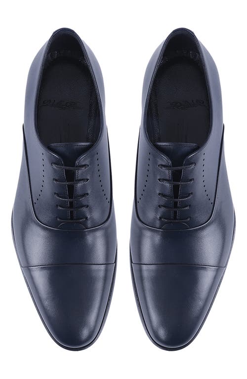 Vellapais Dinero Perforated Oxford In Navy Blue