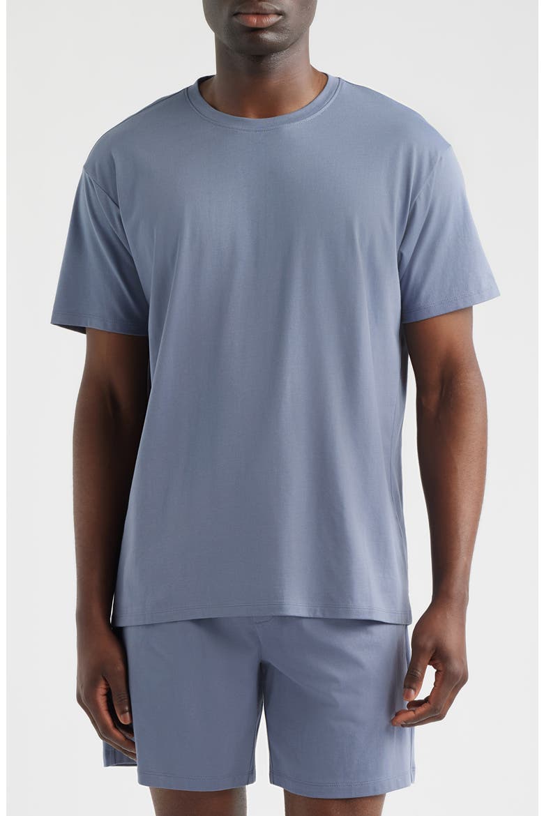 Cotton & Modal Crewneck T-Shirt, Main, color, GREY FOLKSTONE