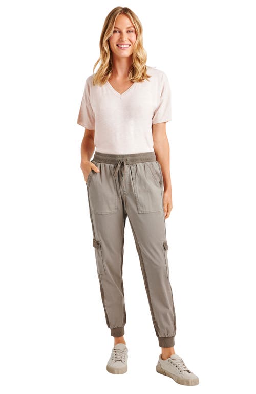 Splendid Jaclyn Drawstring Waist Joggers In Brown