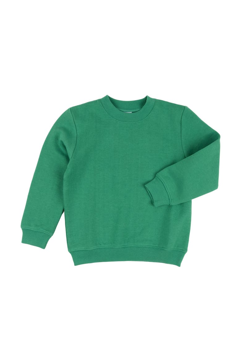 Kids Pullover Sweatshirt, Long Sleeve, Solid Colors, Alternate, color, GREEN