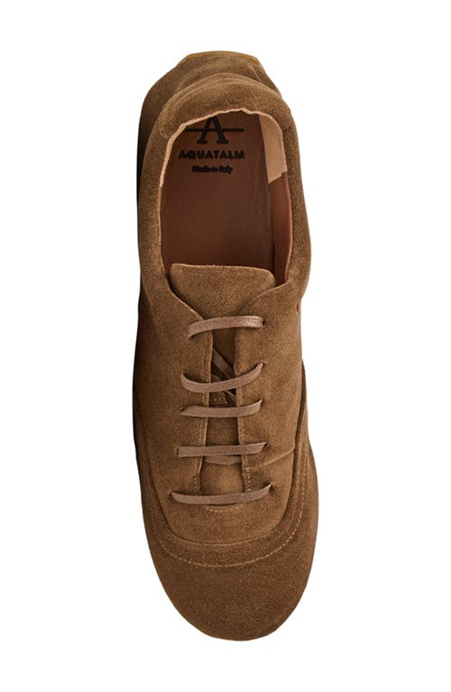Aquatalia Qrystal Water Repellent Sneaker In Brown