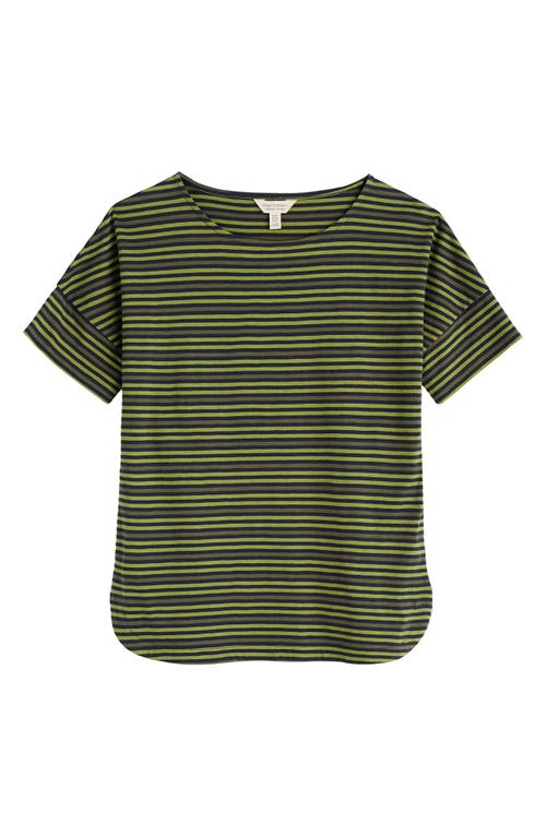 Seasalt Cornwall Bryher View Organic Cotton T-shirt In Green
