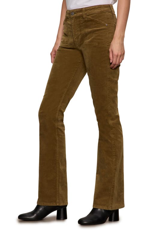 Sanctuary High Waist Bootcut Velveteen Pants In Brown