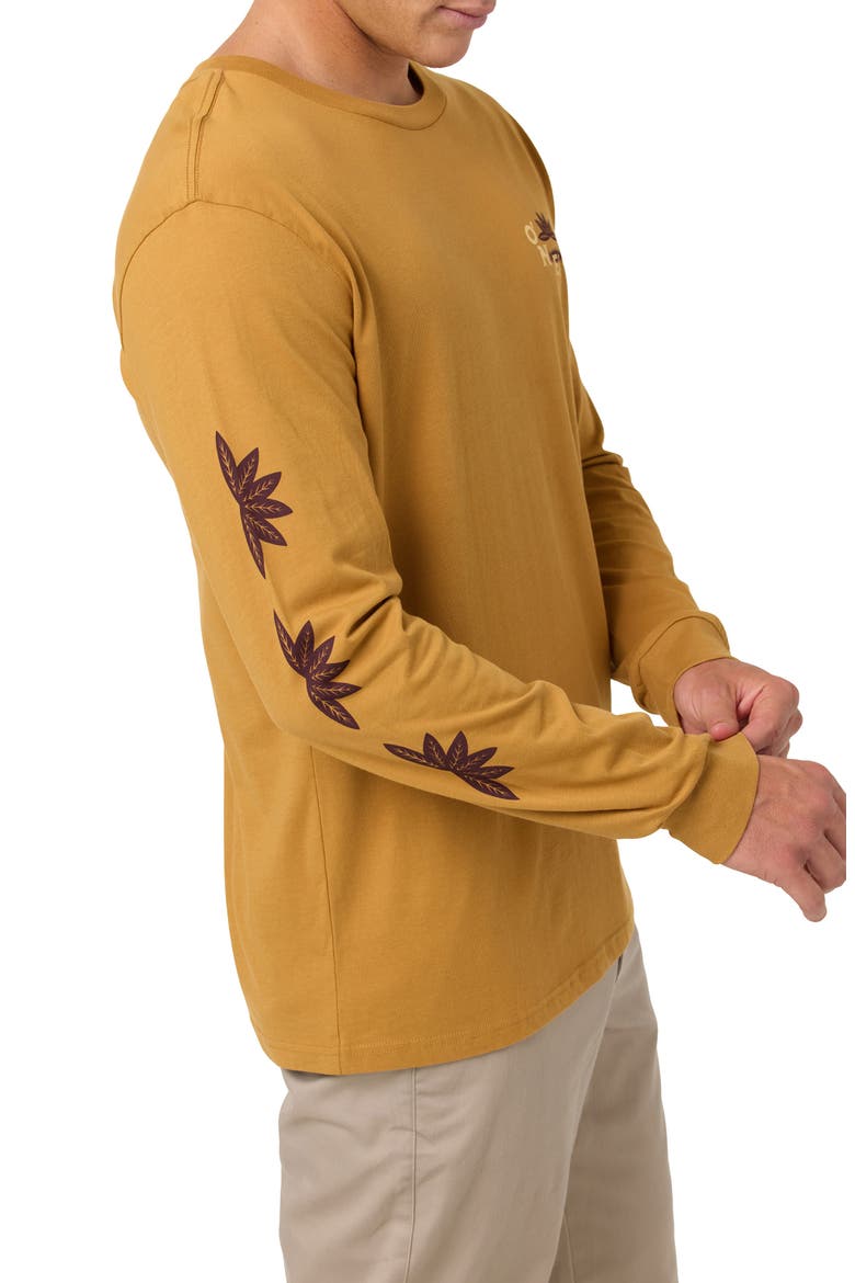 El Calafate Long Sleeve Cotton Graphic T-Shirt, Alternate, color, BONE BROWN