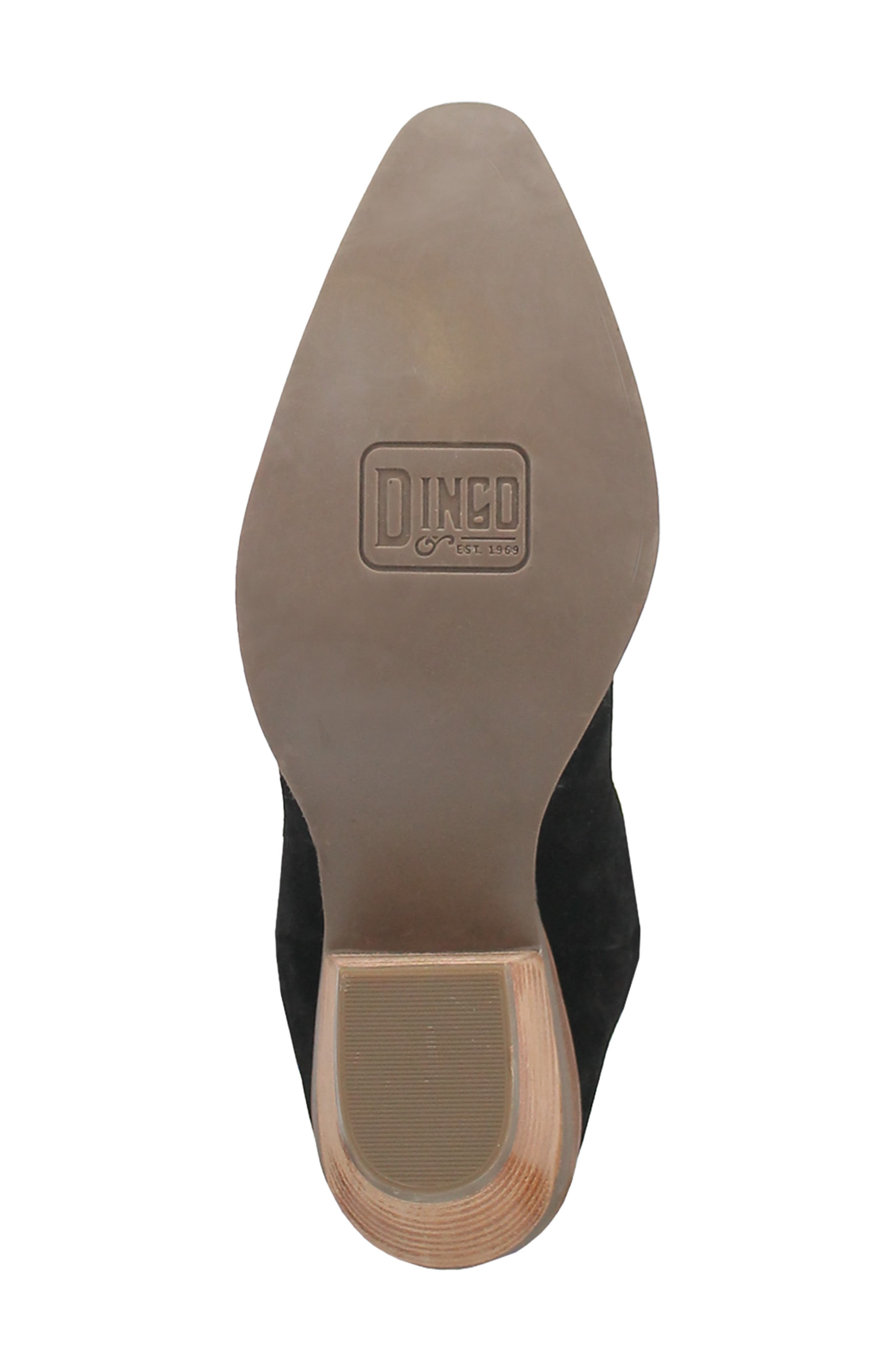 Dingo Day Dream Fringe Embroidered Western Boot, Alternate, color, 