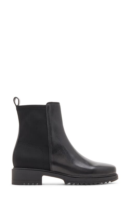 Blondo Caycie Chelsea Zip Bootie In Animal Print