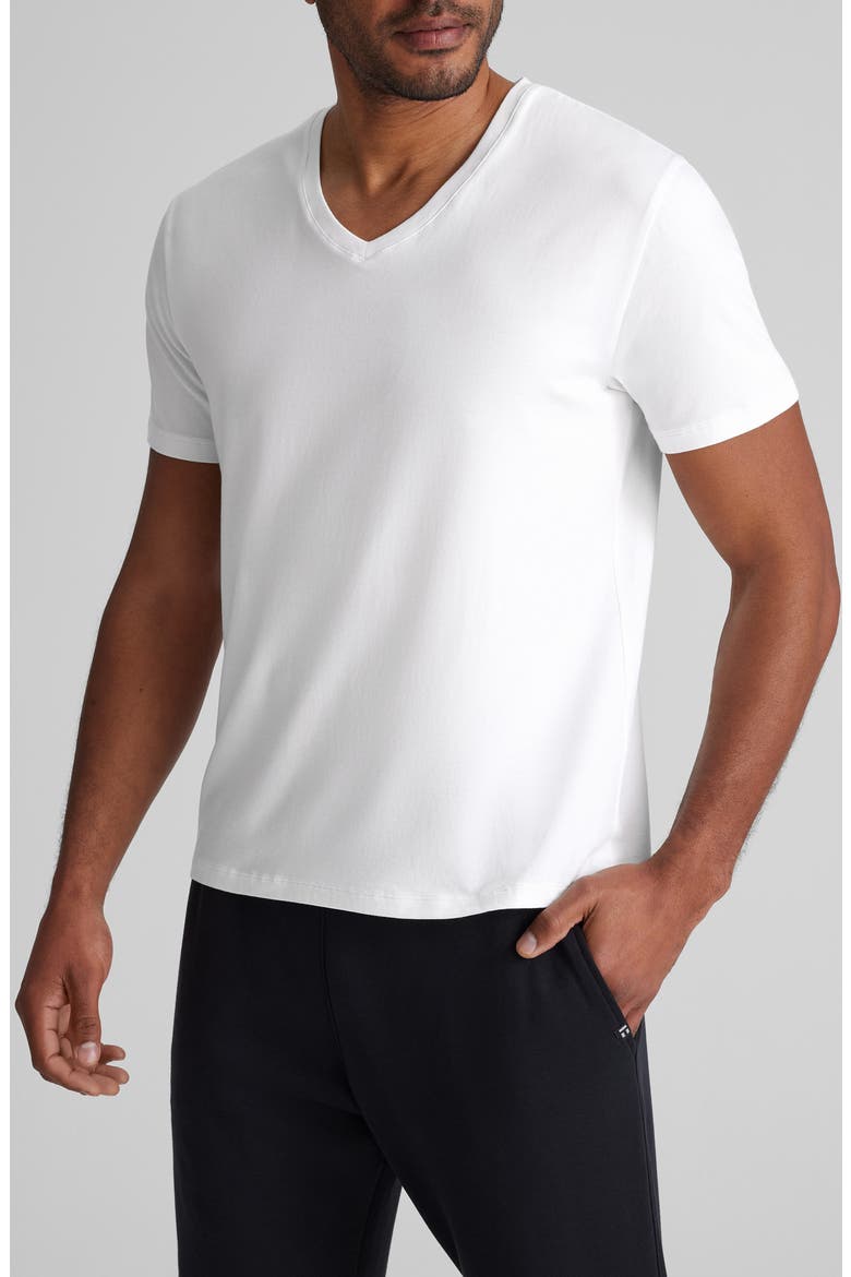 Second Skin V-Neck T-Shirt, Main, color, WHITE