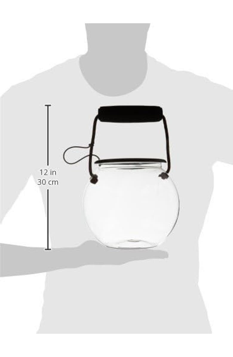 Dry Branch Sports Design Branch Catch and Release Beach Aquarium Kit, Alternate, color, Multicolored