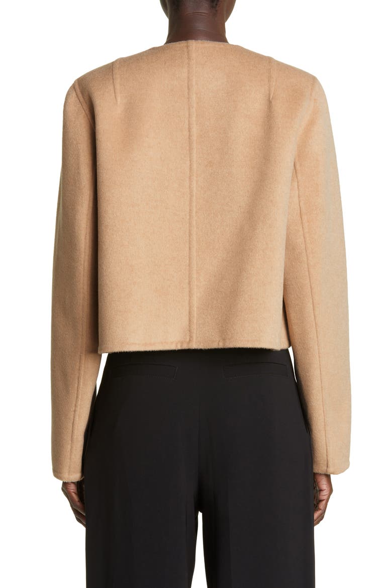 Double Face Recycled Wool Crop Jacket, Alternate, color, CAMEL MULTI