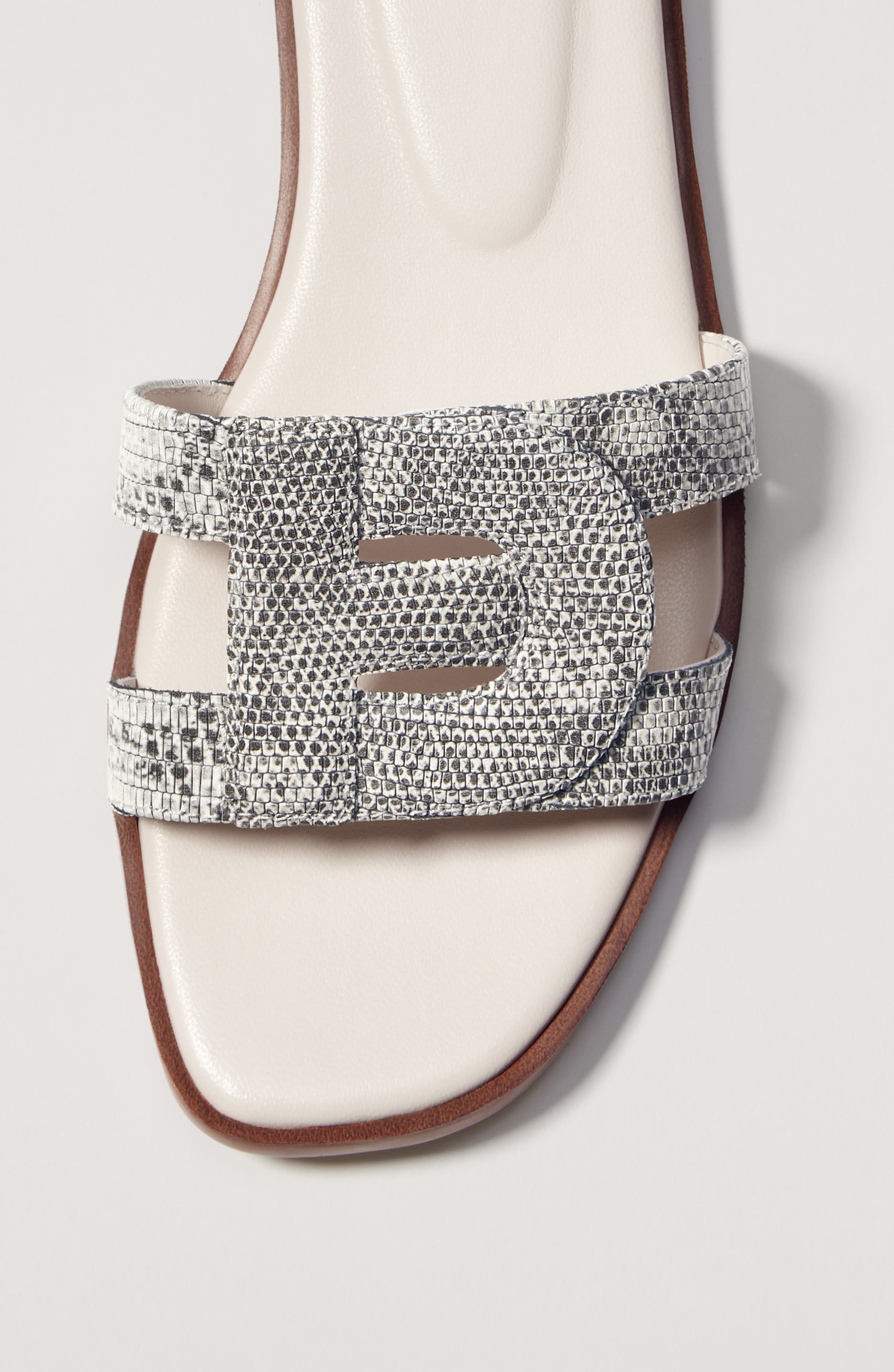 Chrisee Slide Sandal, Alternate, color, RING LIZAR