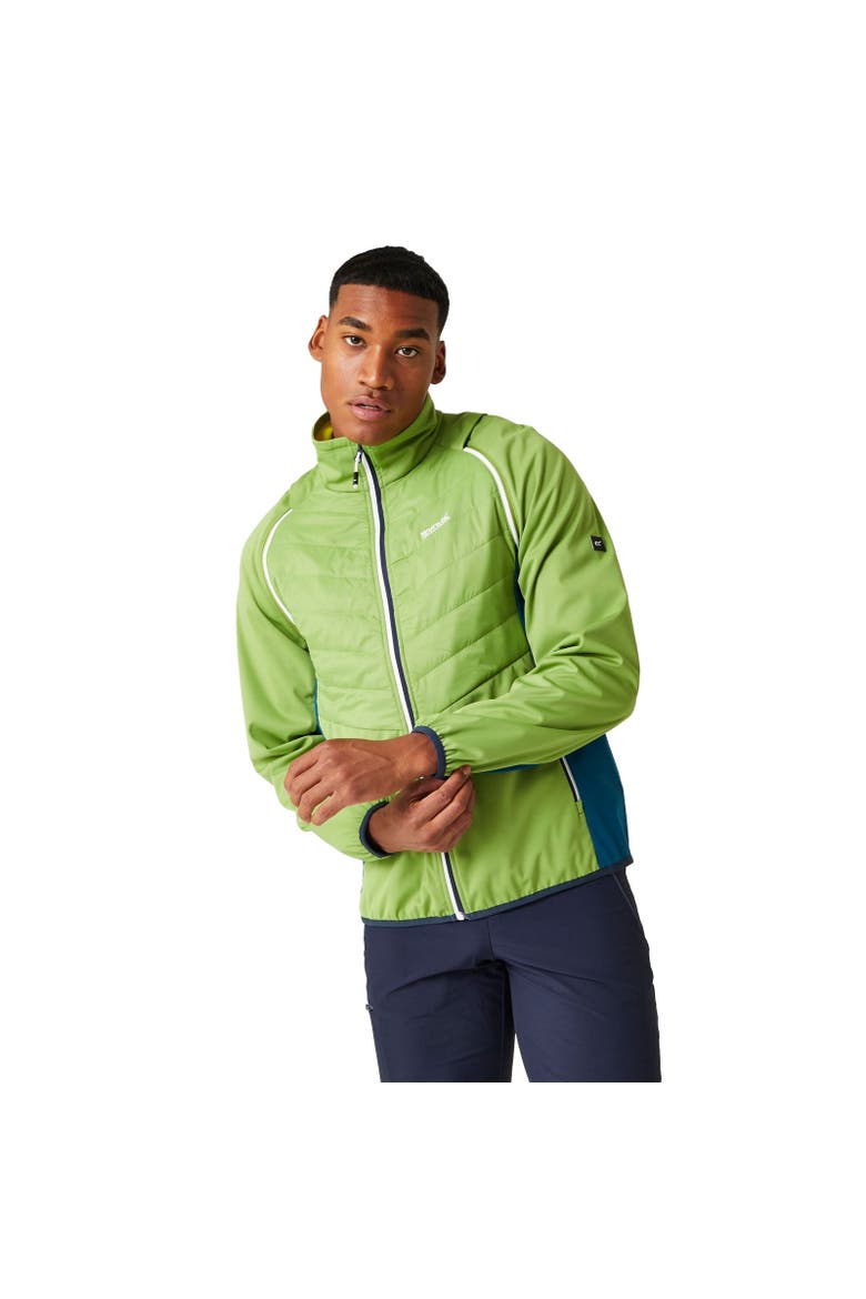 Steren II Softshell Hybrid Jacket, Alternate, color, Piquant Green  Moroccan