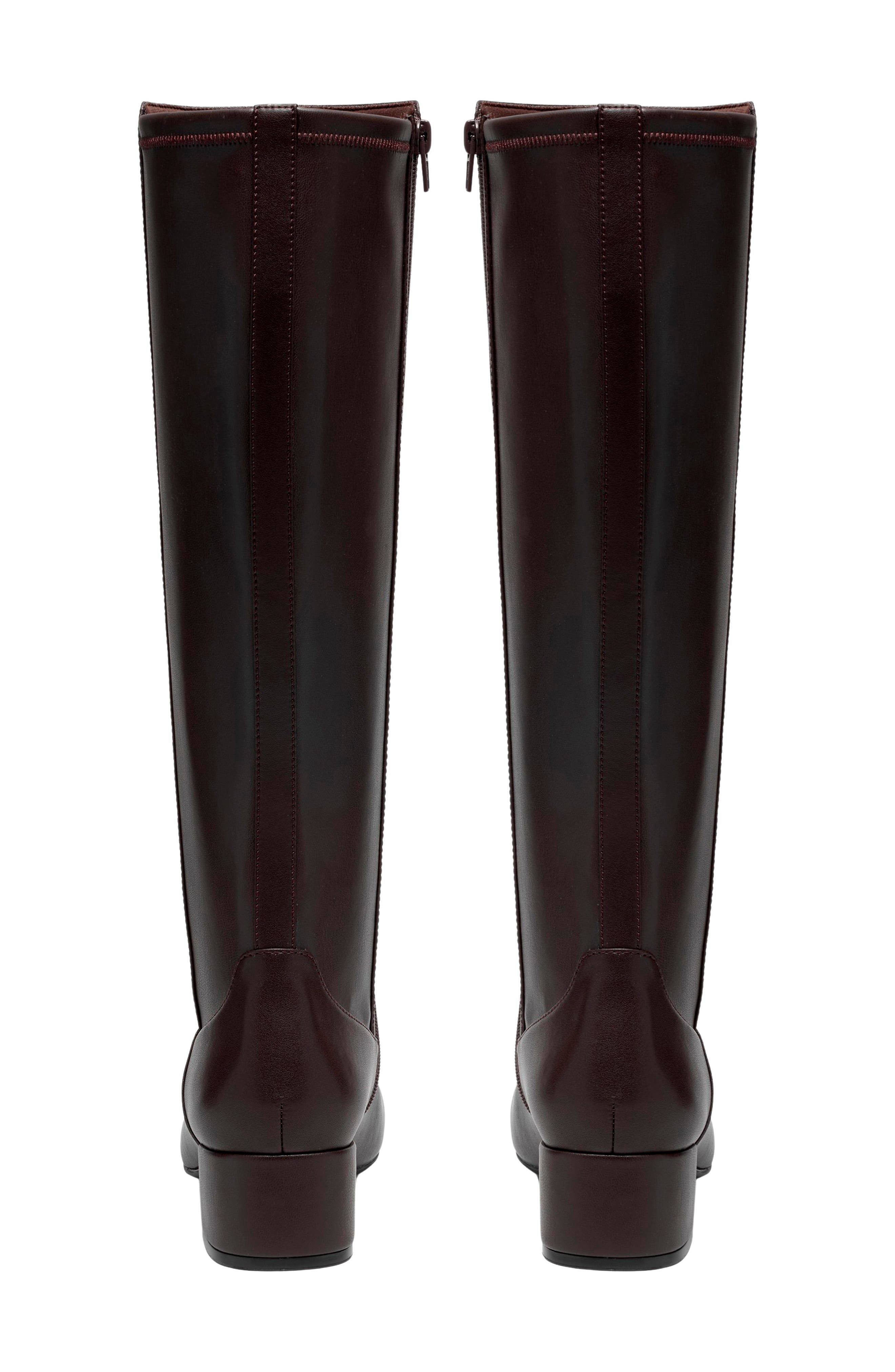 Iridessa Glow Leather Tall Boot, Alternate, color, DARK BROWN LEA