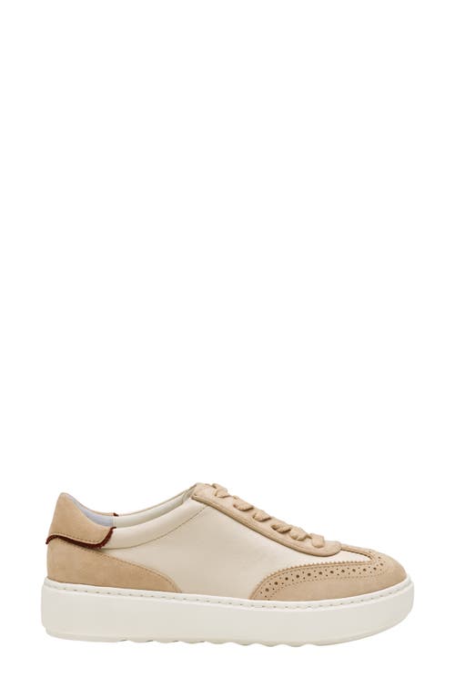 Johnston & Murphy Collection Cammie Low Top Sneaker In Multi