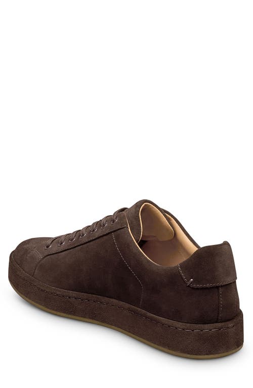 Allen Edmonds Barnes Low Top Sneaker In Brown