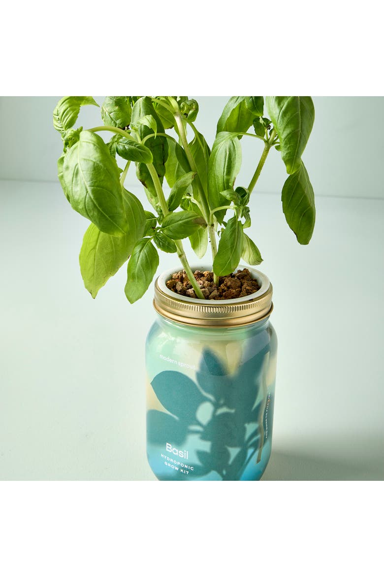 Garden Jar 2pk, Alternate, color, Basil + Cilantro