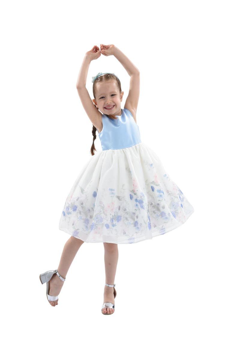 Tulleen Mabel Floral Garden Organza Dress, Main, color, Blue