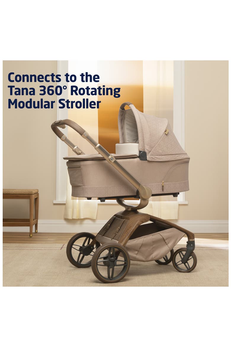 Kindred Collection Carriage Accessory, Alternate, color, NATURAL HERITAGE
