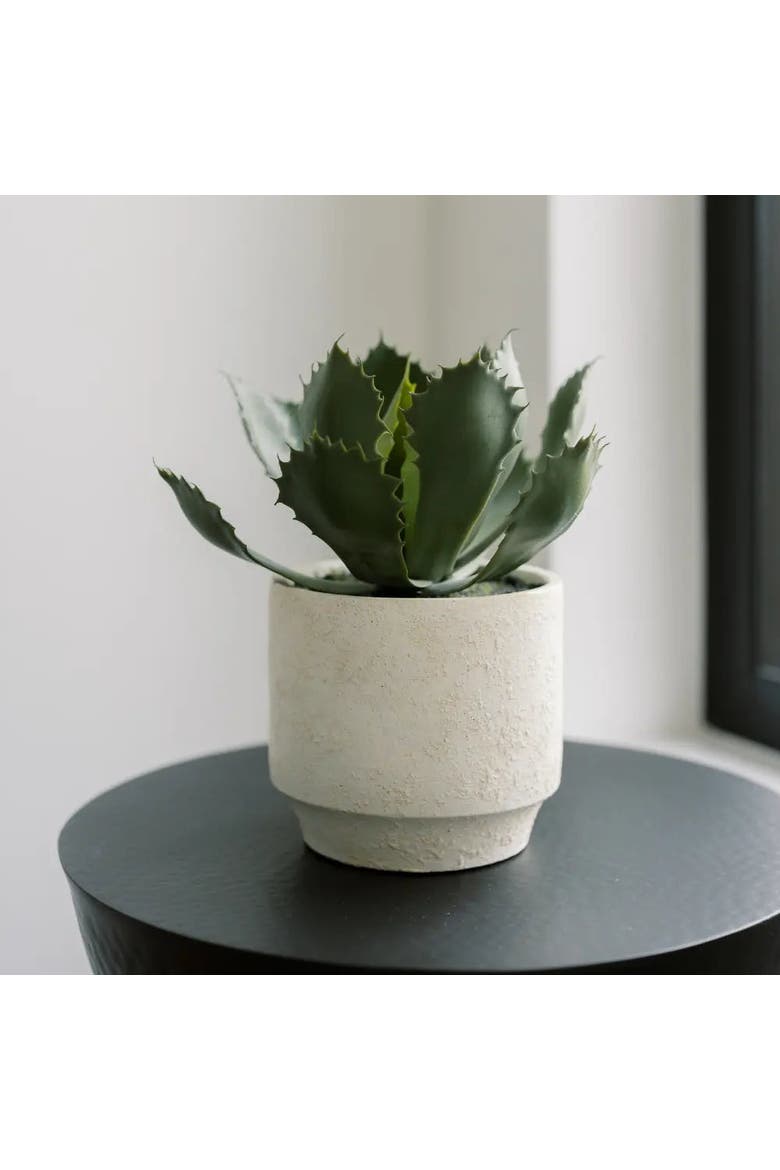 Artificial Succulent Plant Set in Stone Pots, Realistic 2-Pack, Alternate, color, Green succulents in stone pots