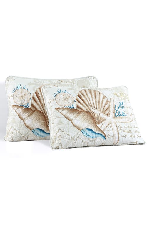 Beatrice Home Fashions Caribbean Joe Comforter & Shams Set