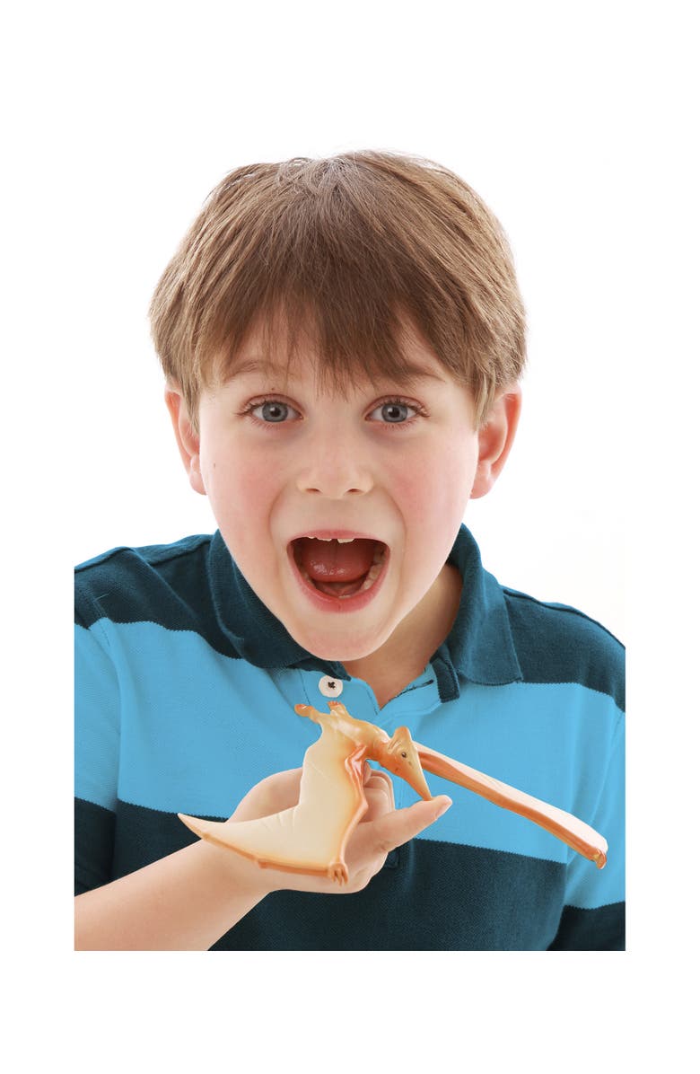 Brainstorm Toys Natural History Museum The Amazing Balancing Pteranodon Gravity Defying, Alternate, color, Multicolored
