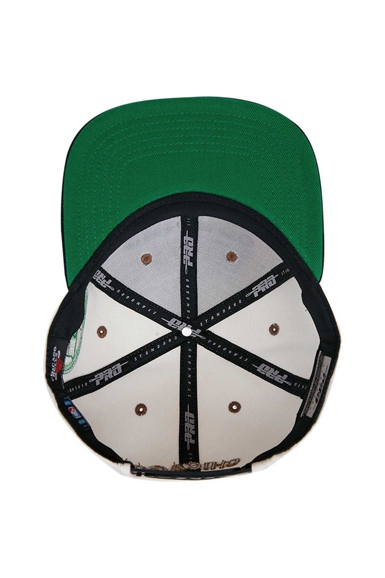 Men's Cream/Black Chicago Bulls Album Cover Snapback Hat, Alternate, color, Cream