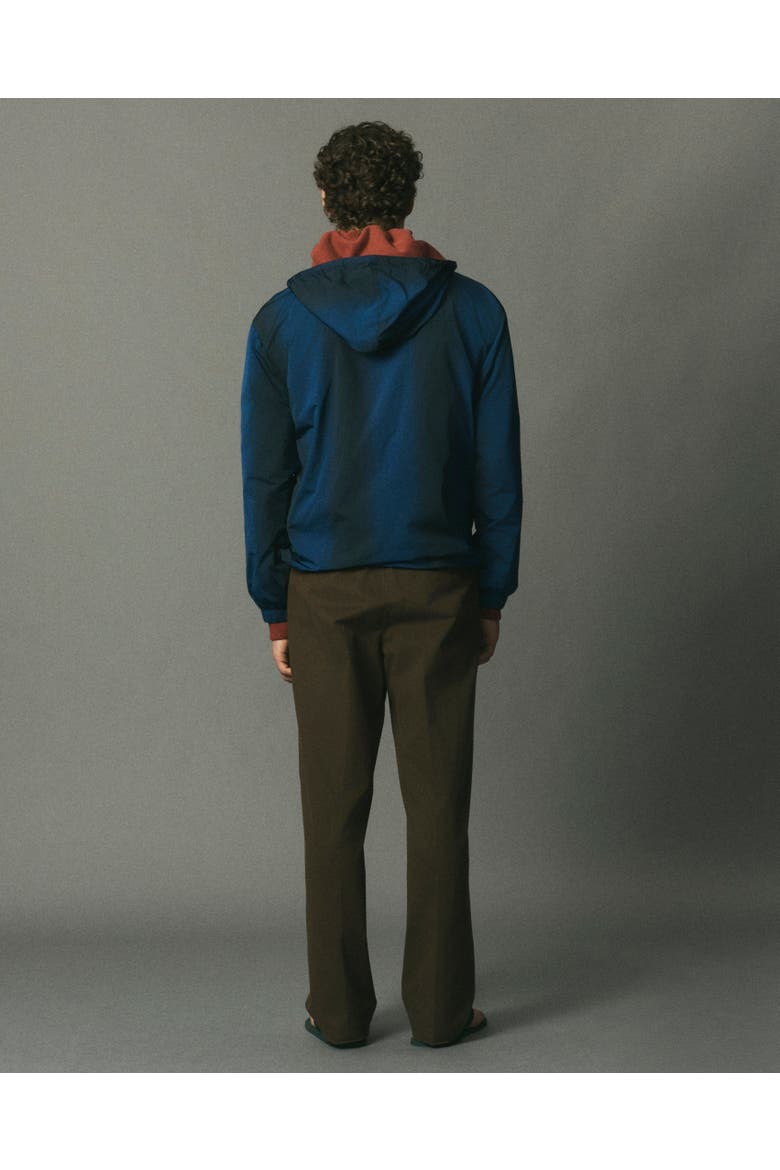 Hooded Zip Jacket, Alternate, color, Blue