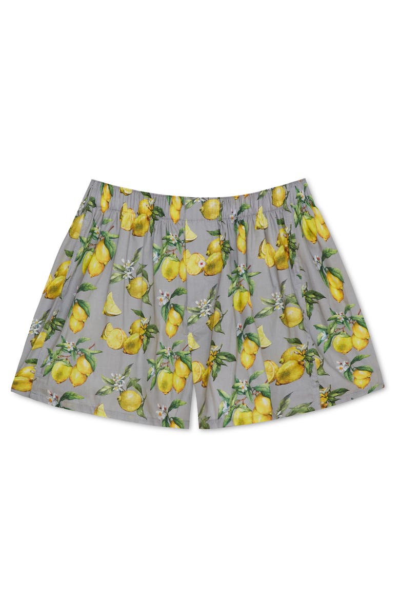 Druthers NYC Organic Cotton Watercolor Lemons Boxer Short, Alternate, color, Mint