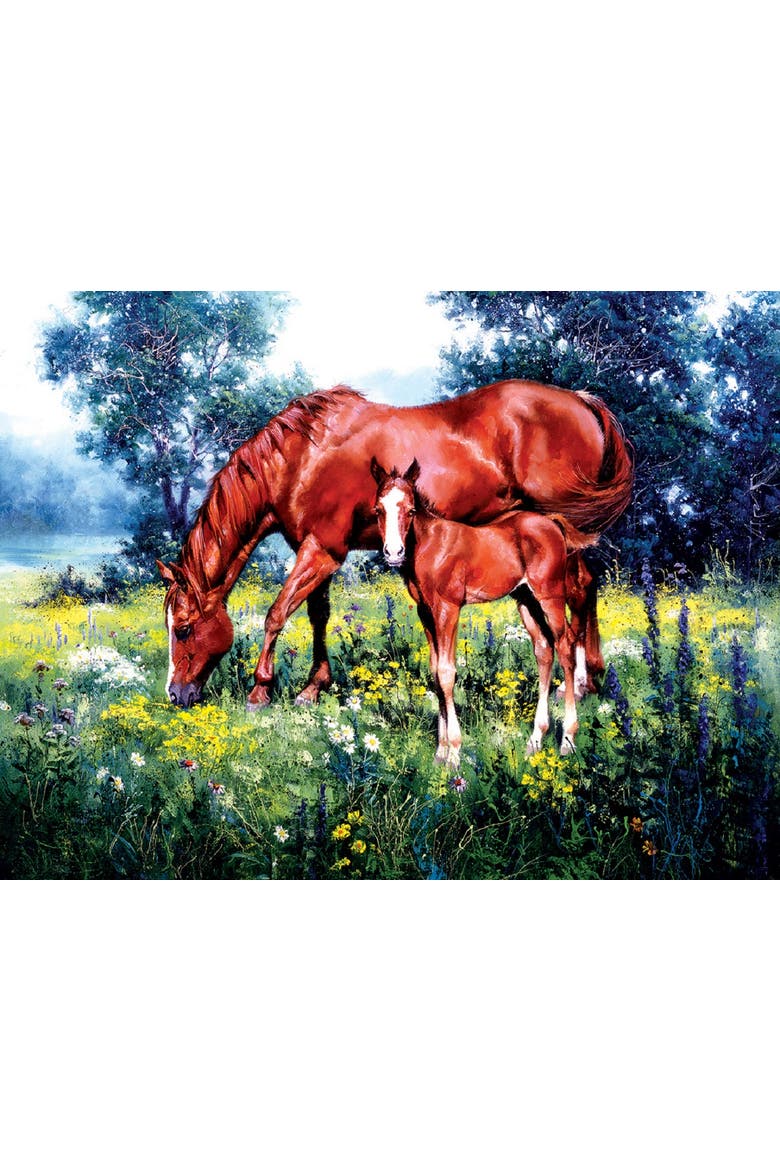 Daisy 1000 piece Jigsaw Puzzle for Adults, Alternate, color, Multicolor