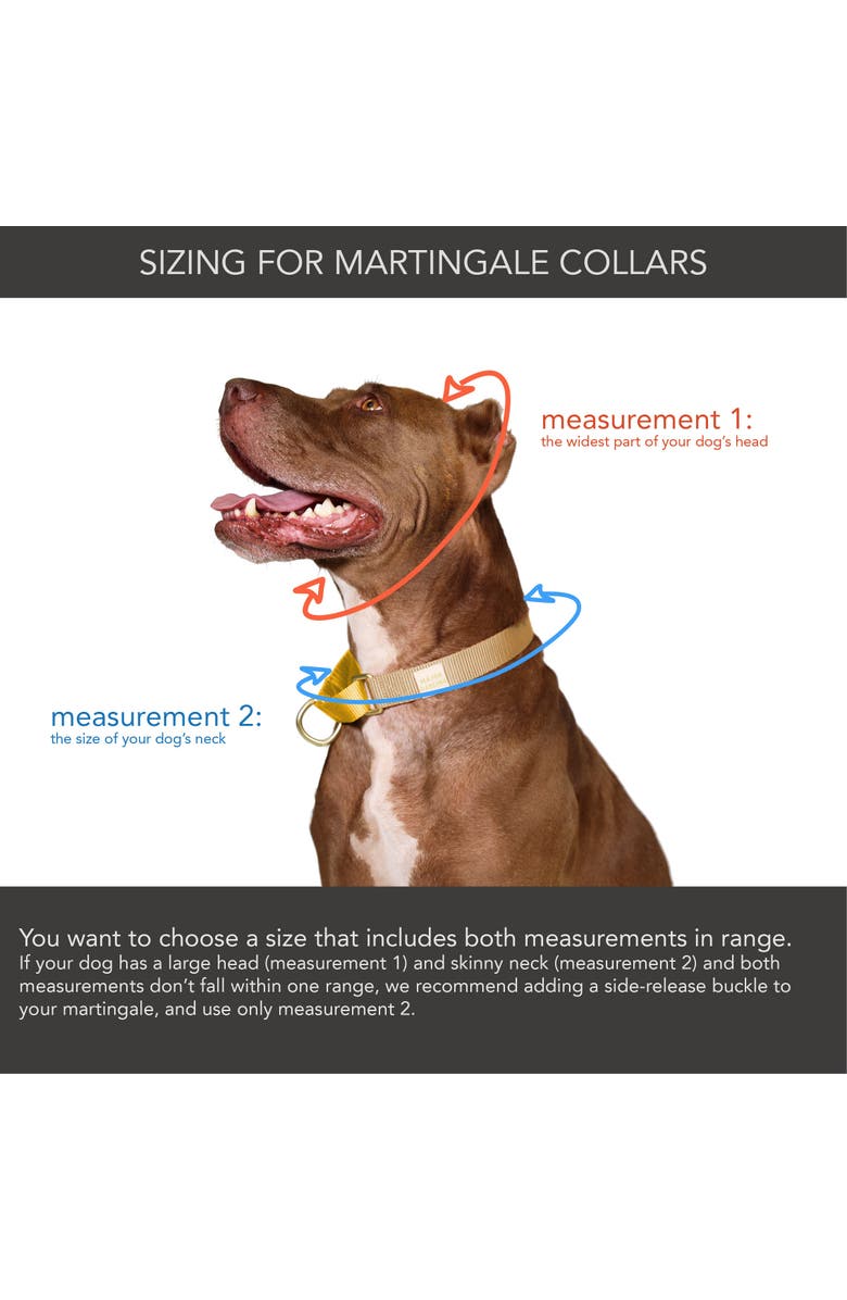 Major Darling Martingale Dog Collar, Alternate, color, Cobalt + Navy - S