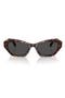  Havana / Dark Grey