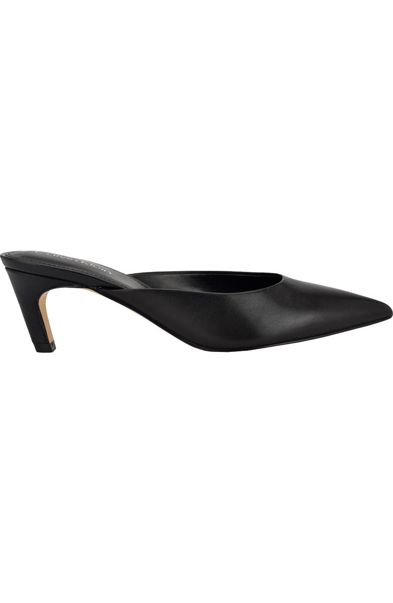 Calvin Klein Kalyn Pointed Toe Kitten Heel Mule, Alternate, color,