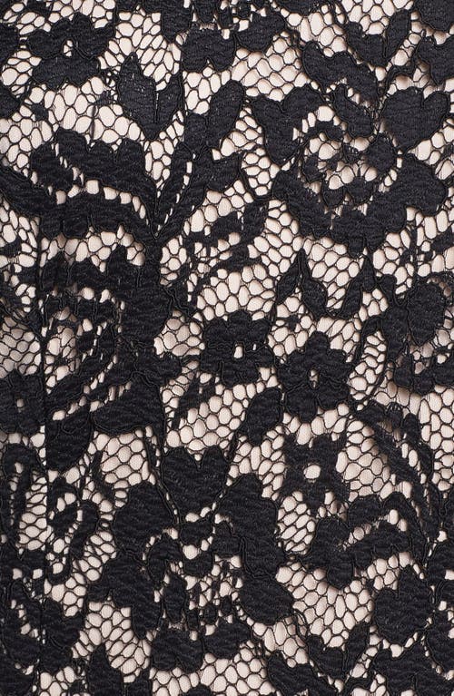 Maggy London Embroidered Lace Overlay Midi Dress In Black