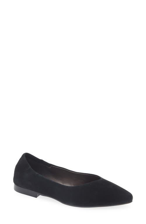 Cordani Mavis Pointed Toe Flat In Black