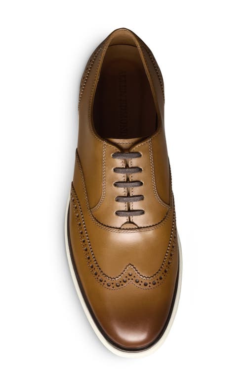 Allen Edmonds Carson Hybrid Wingtip Oxford In Walnut