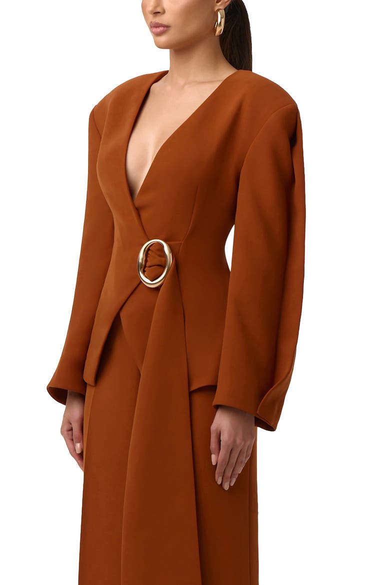 Ring Belted Blazer, Alternate, color, CARAMEL