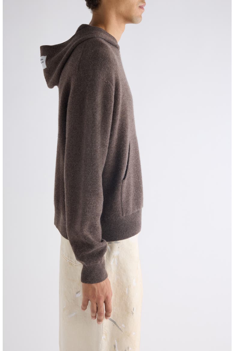 Klama Hooded Cashmere Blend Sweater, Alternate, color, WALNUT BROWN