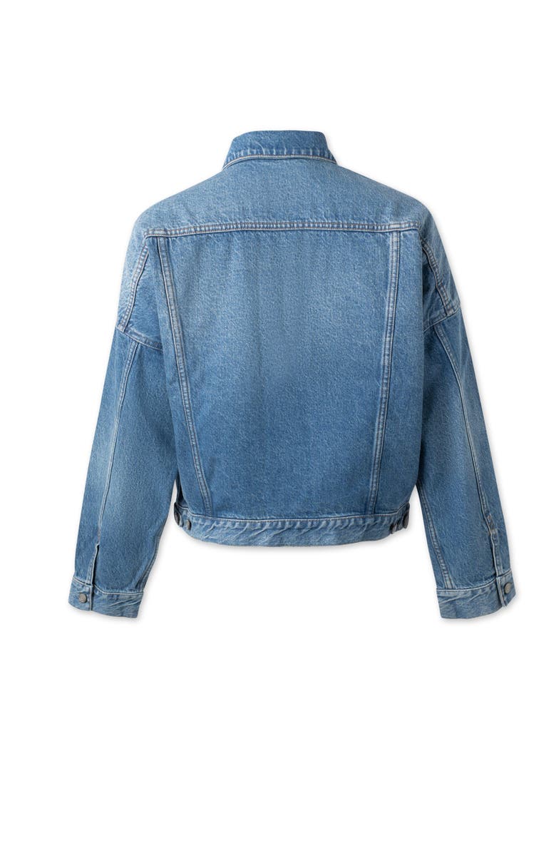 Boyish The Ryder Retro Oversized Denim Jacket, Alternate, color, Risky Business