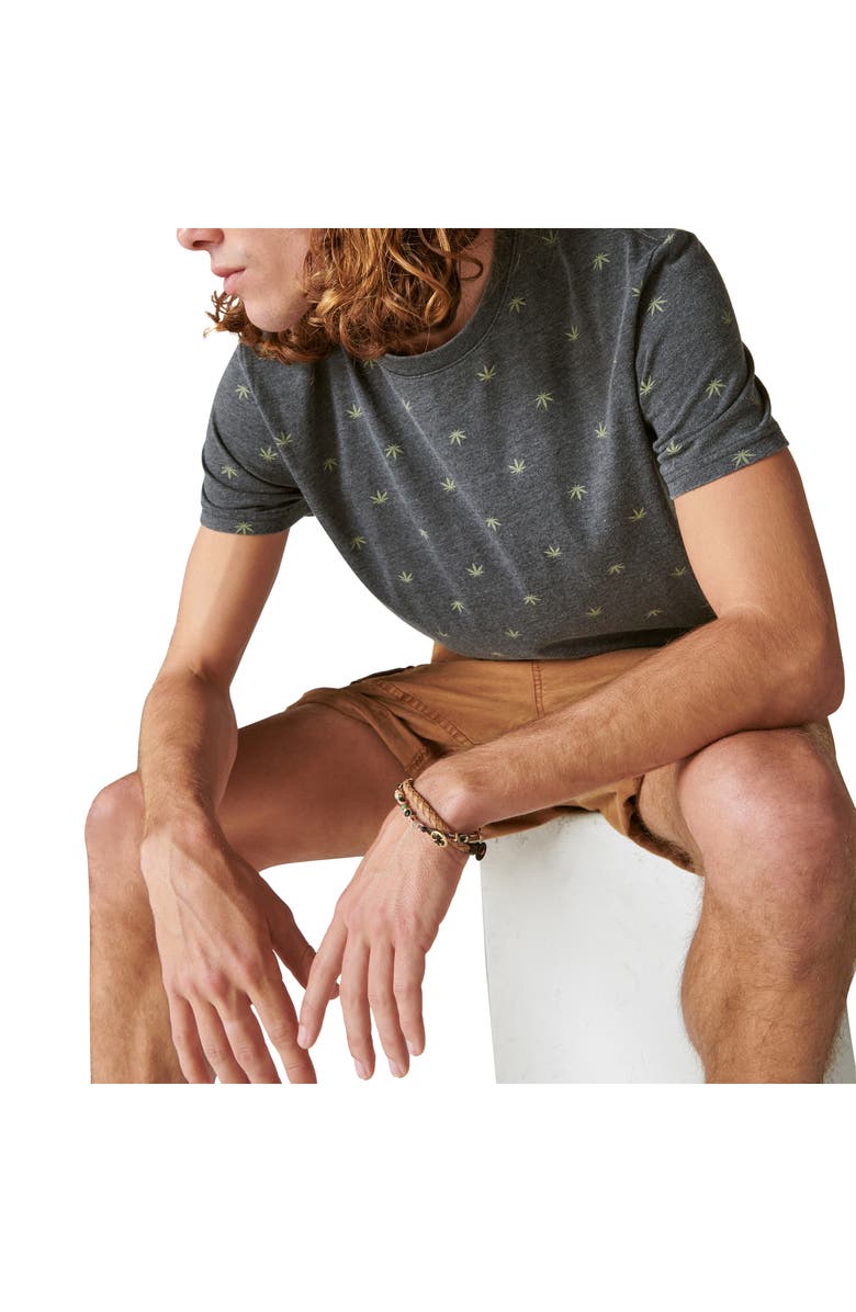 Lucky Brand Venice Leaf Print T-Shirt, Alternate, color, 