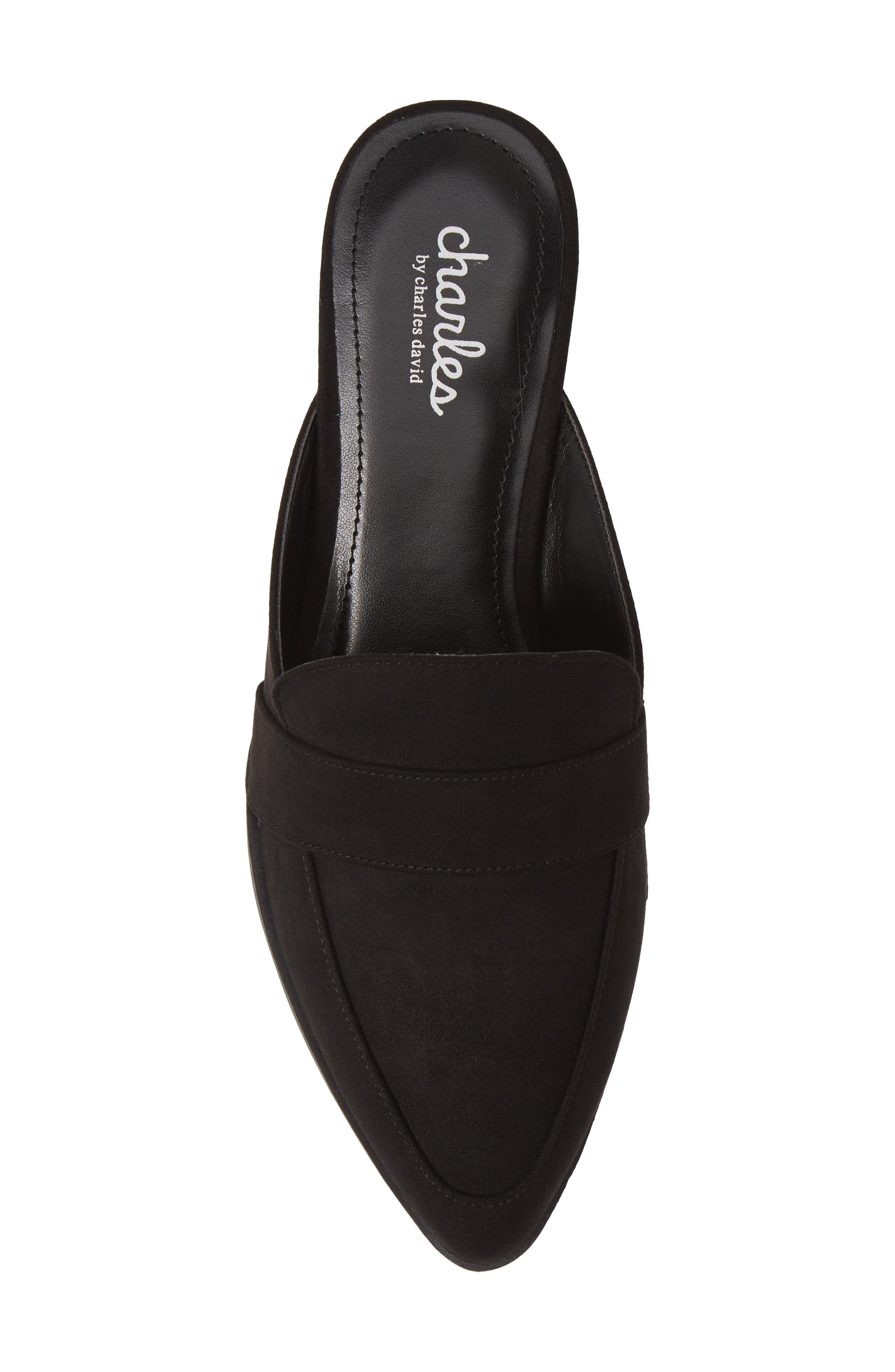 Charles by Charles David Elijah Mule, Alternate, color, 