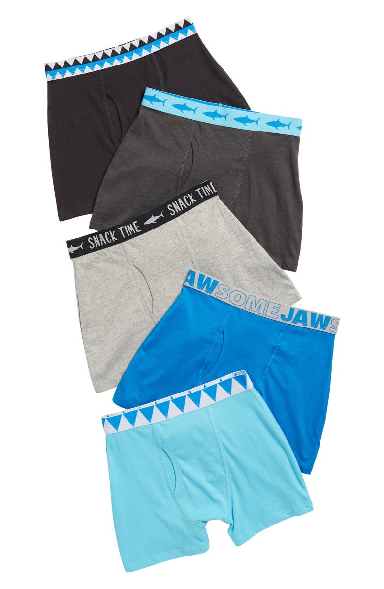 Only Boys Kids' Pack of 5 Noah Boxer Briefs, Main, color, 