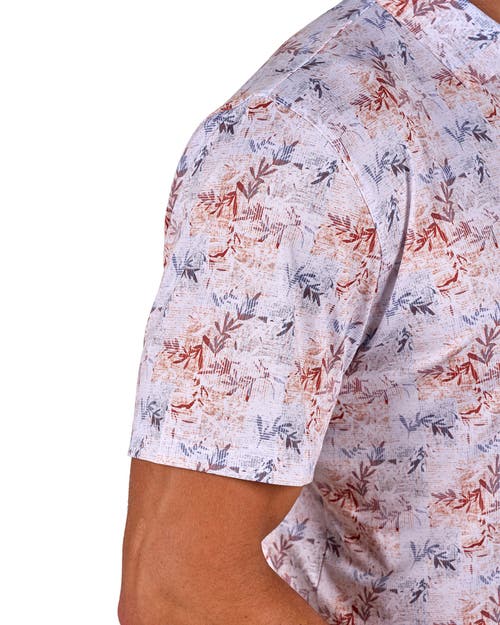 Black Clover Lucky Oasis Polo In White