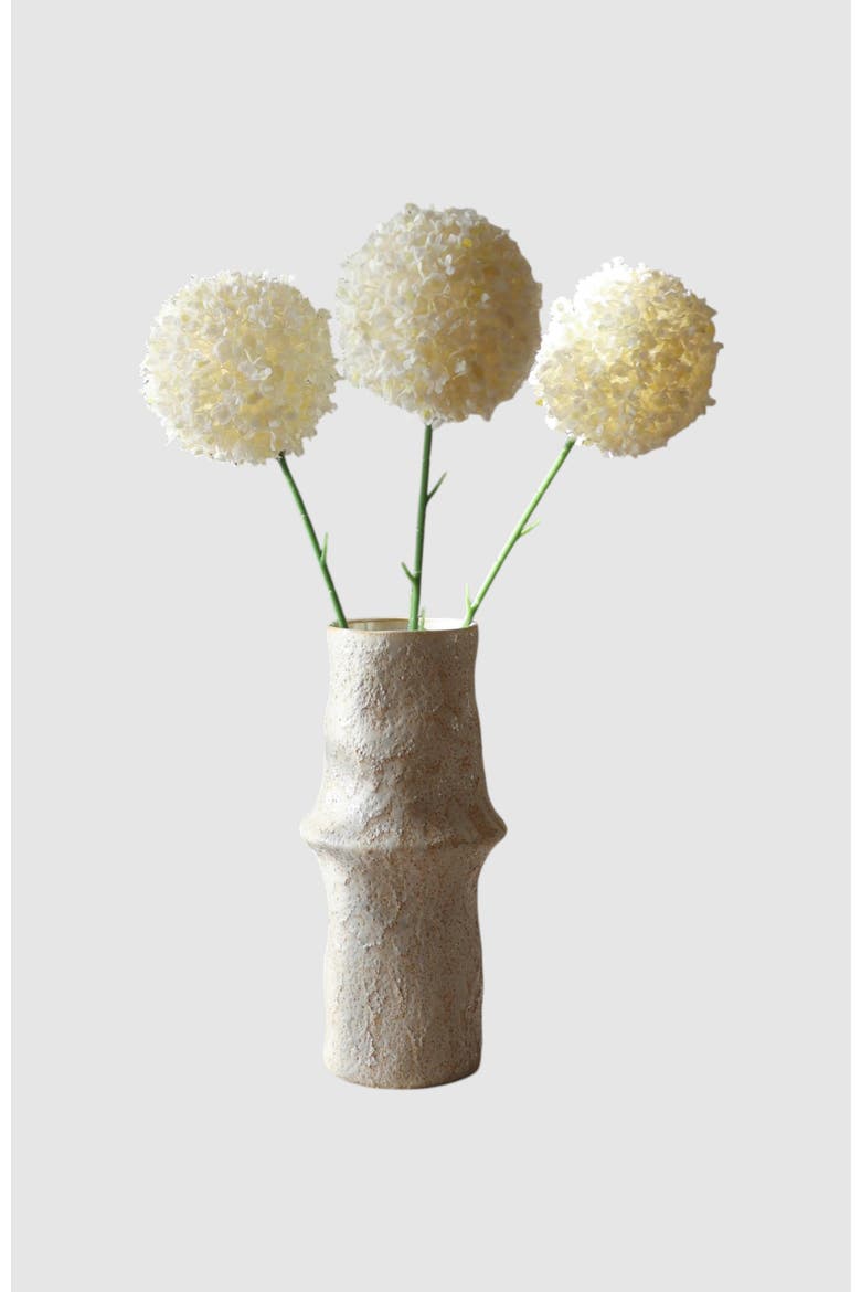 White Allium Giganteum, Alternate, color, White