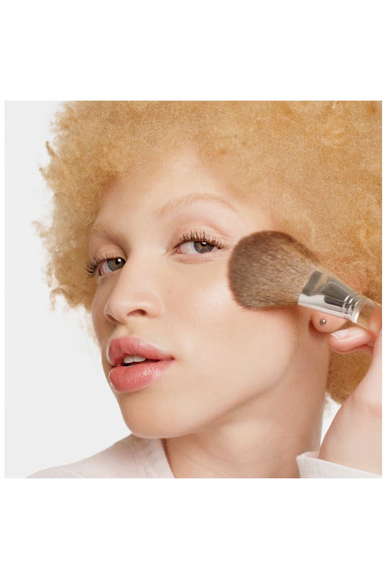Powder Brush for Pressed & Loose Powder, Alternate, color, NO COLOR