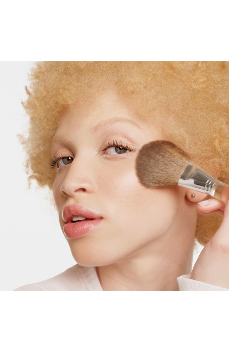 Powder Brush