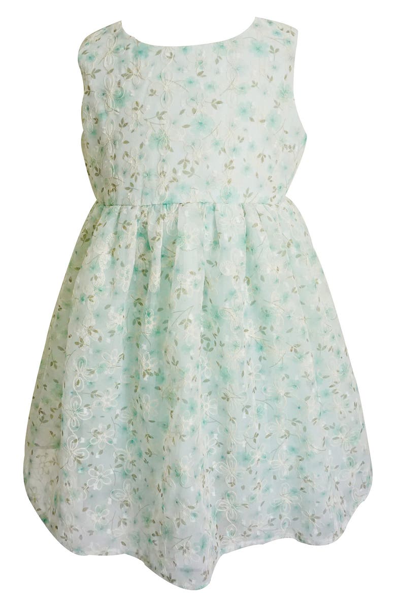 Popatu Floral Embroidered Tulle Overlay Party Dress, Main, color, Mint