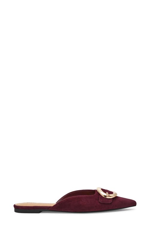 Steve Madden Ira Pointed Toe Mule