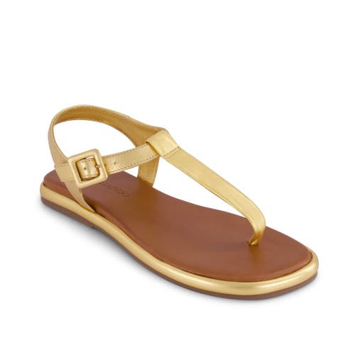Bernardo Footwear Tucson T-strap Sandal In Gold
